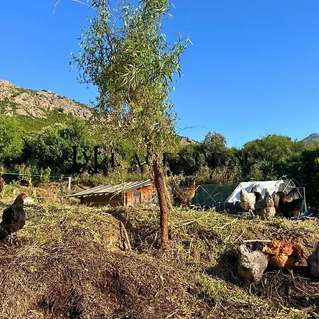 شقة Grand Studio Castagniccia Maquis Proche Calvi