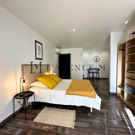 Appartement Grand Studio Castagniccia Maquis Proche Calvi